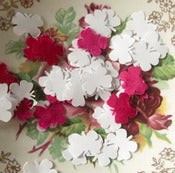 Image of Pink and White Butterfly Confetti