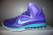 Image of Nike Lebron IX (9) "Summit Lake Hornets"