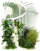 Image of Eve in the Kibble Palace