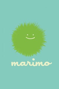 Image of Marimo + Adoption Kit