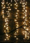 Image of lights