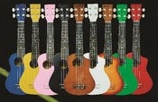 Image of BugsGear Painted Cutaway Soprano Size Ukuleles