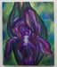 Image of "Spring Delight"