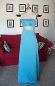 Image of The Forsyth Gown