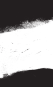 Image of DEMIAN JOHNSTON - Untitled CS