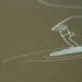 Image of Fly Fishing Print on Olive | Screen Printed