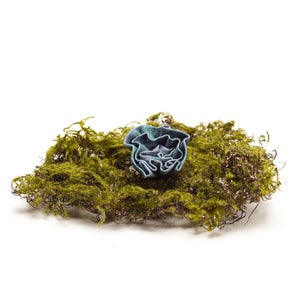Image of Slate+Forrest