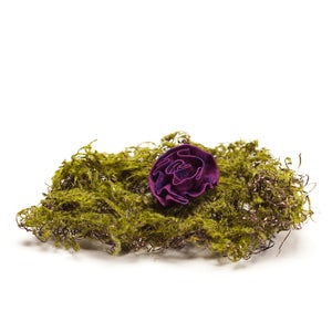 Image of Royal Plum