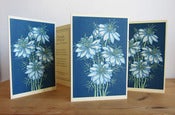 Image of Pack of 4, 'Nigella' Screenprinted Notecards