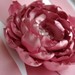 Image of Flower Sash Belt - Dusty Pink and Crystals