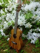 Image of Pono Acacia Tenor Deluxe