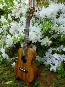 Image of Pono Acacia Tenor Deluxe