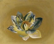 Image of Lotus Flower alt. color