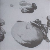 Image of DOUBLED YELLOW SWANS global clone cd