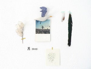 Image of kamomé pin (cocon seagull)
