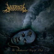 Image of Vermis Antecessor - The Subliminal Way Of Flesh