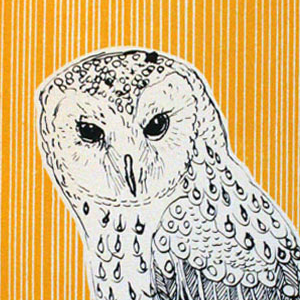 Image of Jeff Owl
