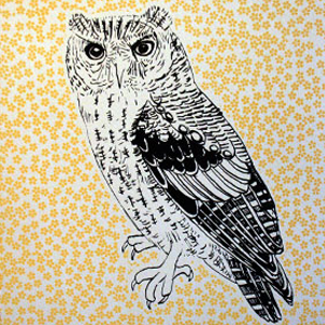 Image of Raymond Owl