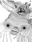 Image of Flat Bird