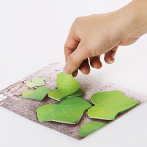 Image of Appree Ivy Post-Its