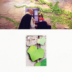 Image of Appree Ivy Post-Its