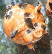 Image of Pig