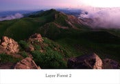Image of V.A /Layer Forest 2 (AY011)