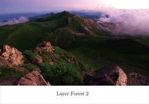 Image of V.A /Layer Forest 2 (AY011)