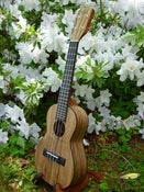 Image of Kala Pacific Walnut Concert