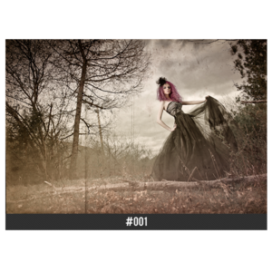Image of Limited Edition Print: #001