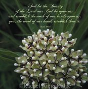 Image of Psalm 90:17