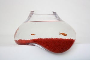 Image of BUBBLE TANK