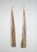 Image of Whips and Chains