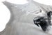 Image of Prime Black Eagles Tank