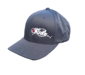 Image of iRide Flex Fit