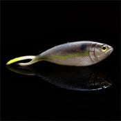Image of Fake Fish