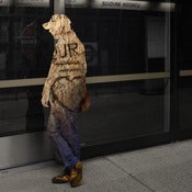 Image of Untitled 46