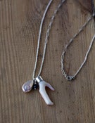 Image of Coral Claw & Pearl 