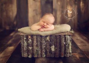 Image of 3-in-1~ Rustic Wooden Hand Made Log Crate with Moss