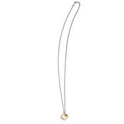 Image of small brass cod dentary on 22" silver cable-chain (P42silbra22)