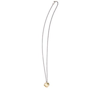 Image of small brass cod dentary on 22" silver cable-chain (P42silbra22)