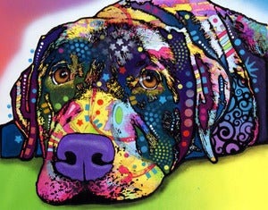 Image of Savvy Labrador PRINT