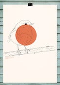 Image of Erithacus rubecula
