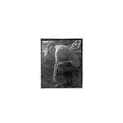 Image of LFY / WAR - The Glass House Etiquette split 7''
