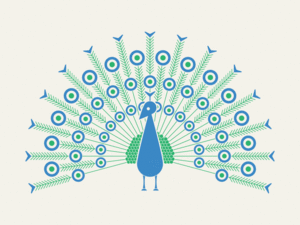 Image of Peacock - Art Print