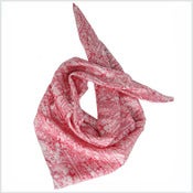 Image of Carré de soie feathers Framboise 68€ 