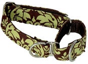 Image of Green Damask Martingale Collar on UncommonPaws.com