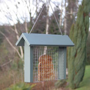Image of Toast Bird Feeder