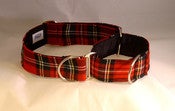 Image of Scottish Tartan Martingale Collar