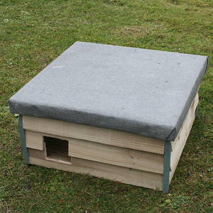 Image of Standard Hedgehog House